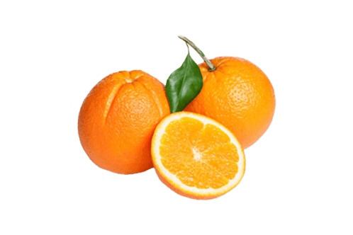 https://www.software.leadsmarket.info/images/product/202401151115301.png